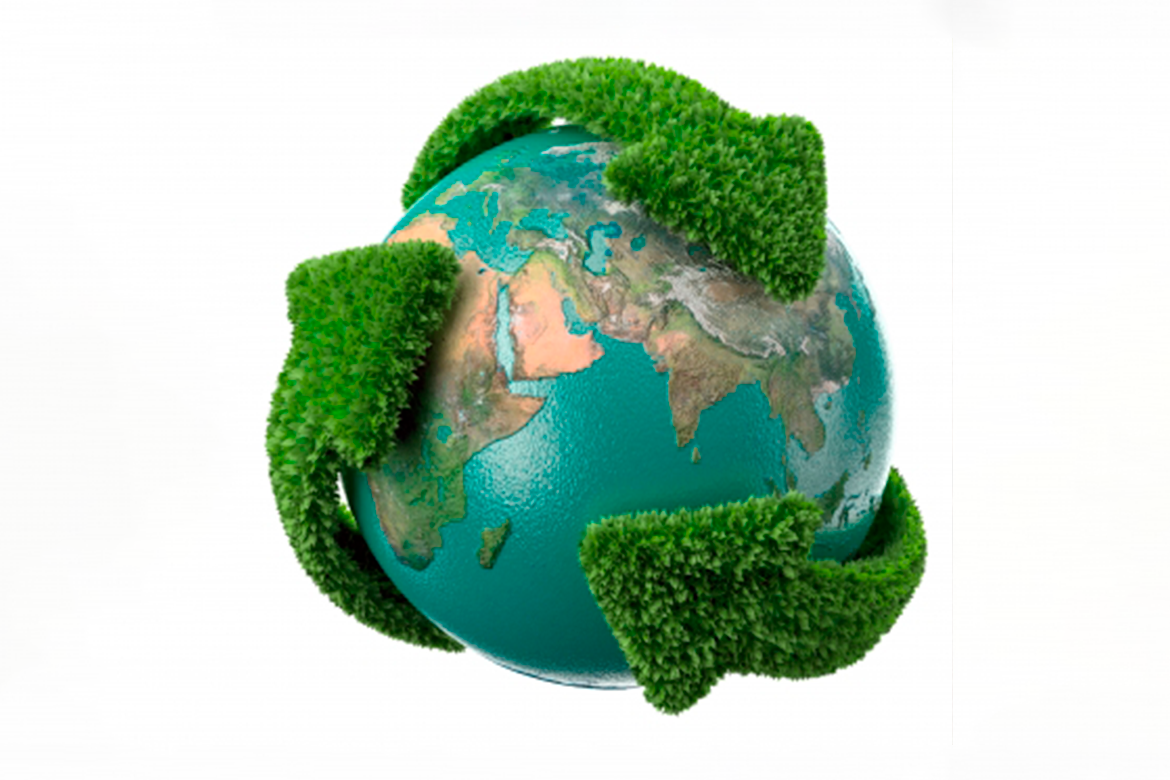 Todos los días deben ser “El día mundial del Medio Ambiente”